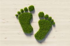 Green grass footprints symbolizing an eco-friendly or sustainable footprint
